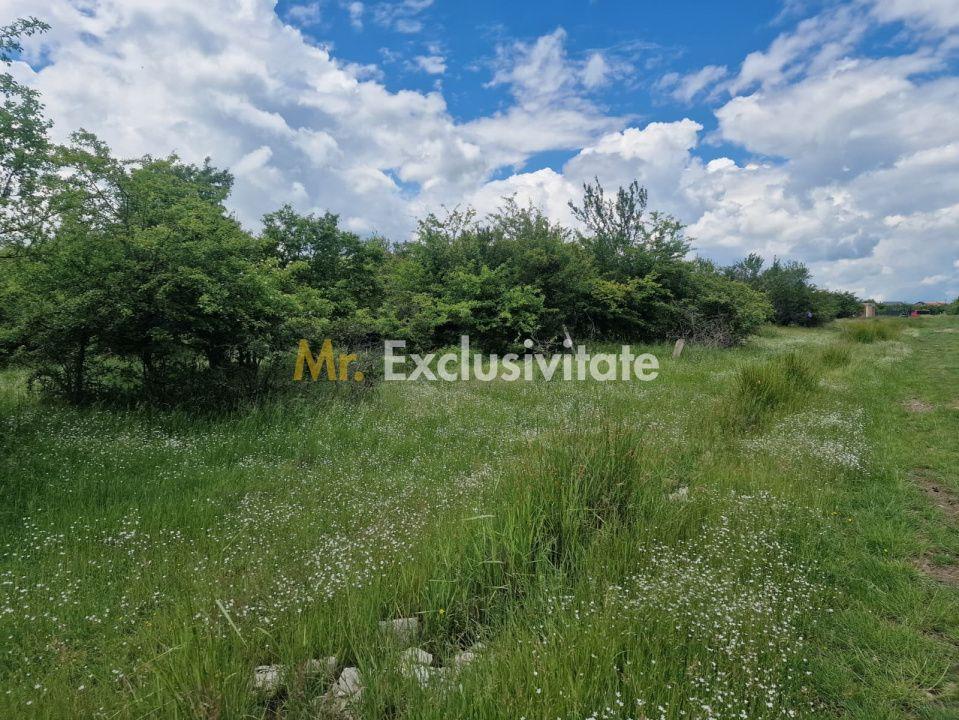 0% Comision!!! Teren intravilan Smeura - str Prunilor! - 2