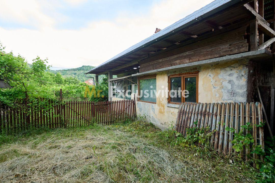 Casa cu teren generos - 4696 mp Apa Sarata - Campulung !! - 18