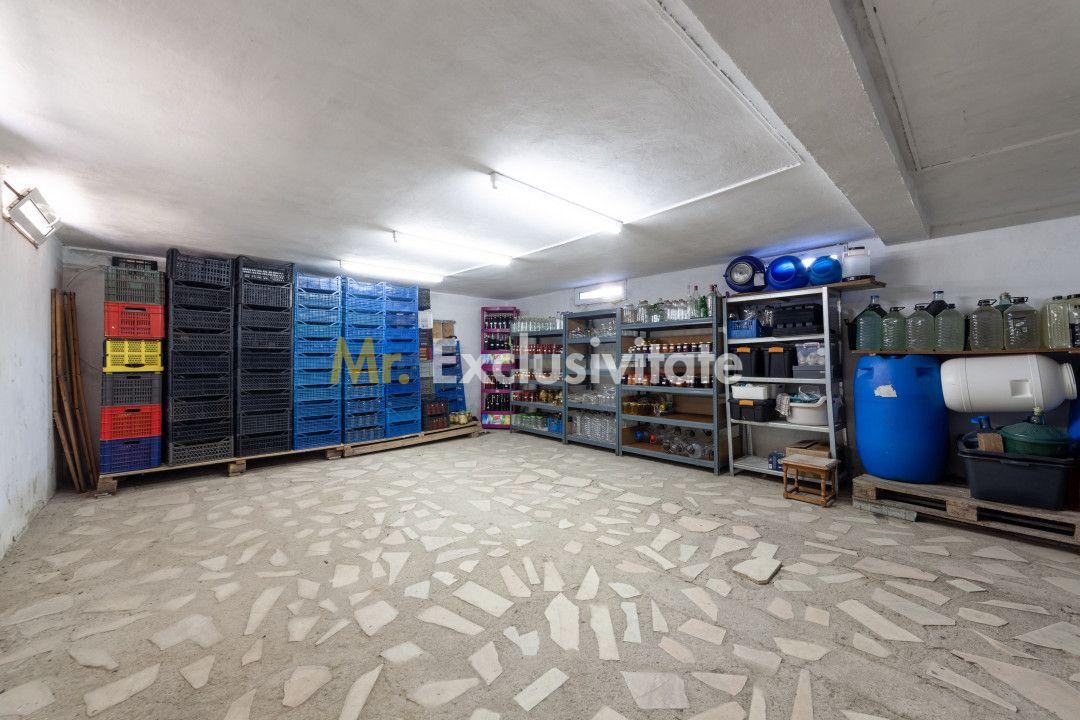 Casa visurilor cu livada roditoare si gradina amenajata - 13