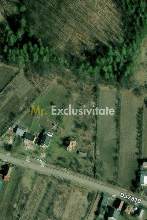 Teren 4226 mp si casa de renovat in loc. Babana, jud. Arges - 5