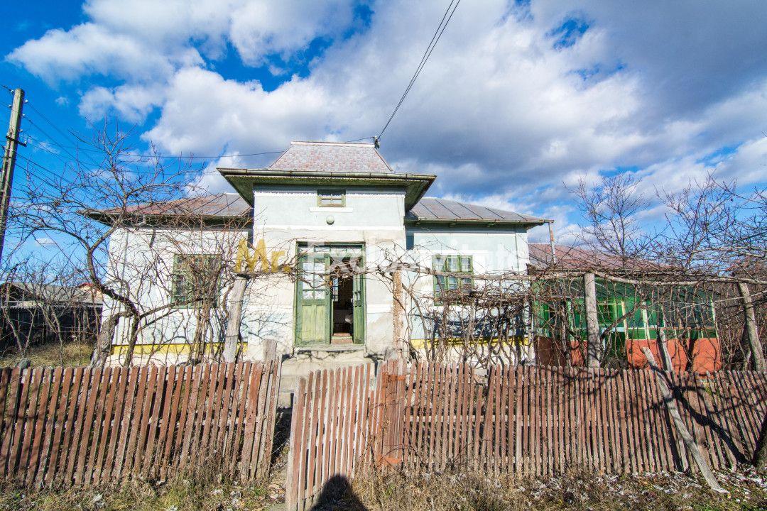 Casa traditionala argeseana – comuna Vedea, jud. Arges - 2