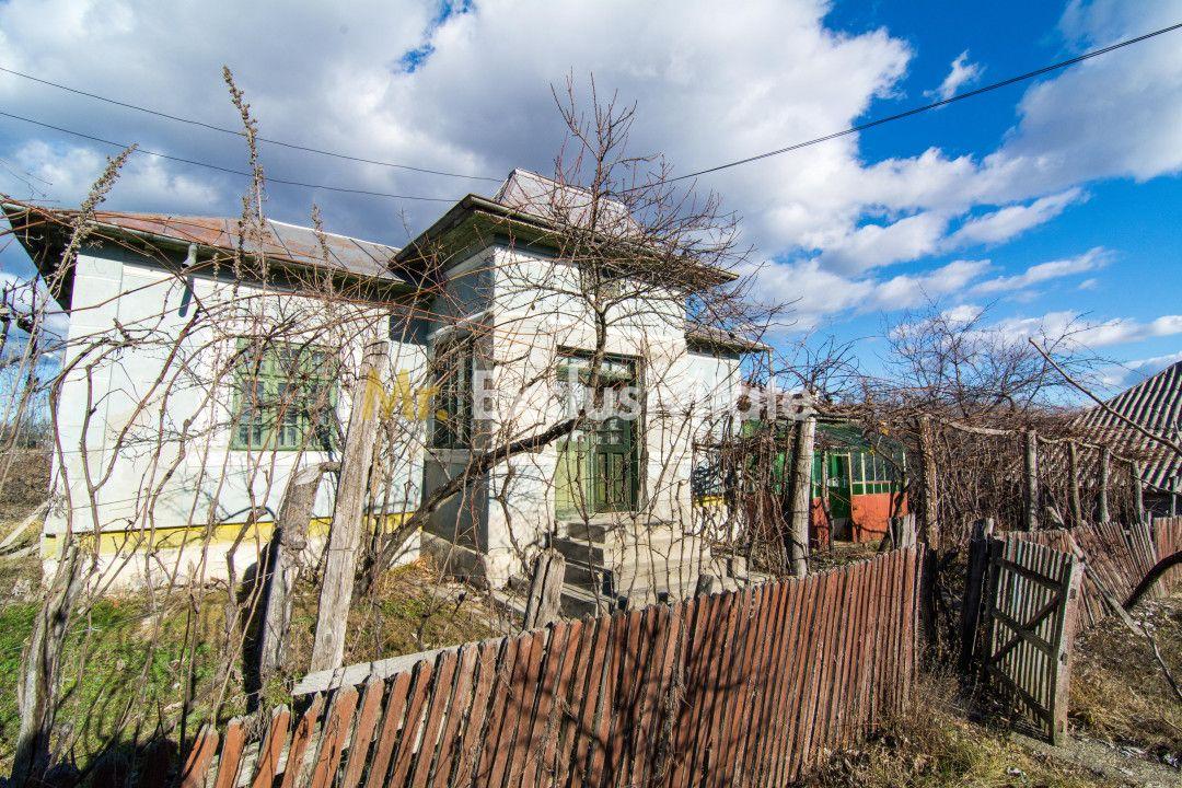 Casa traditionala argeseana – comuna Vedea, jud. Arges - 4