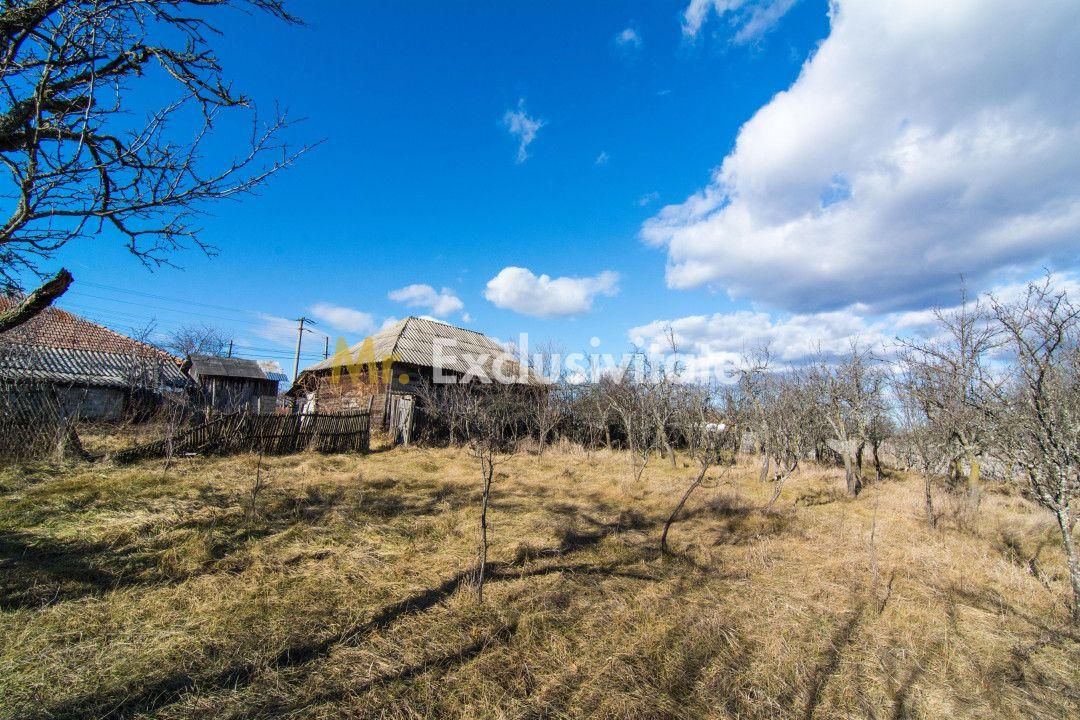 Casa traditionala argeseana – comuna Vedea, jud. Arges - 7