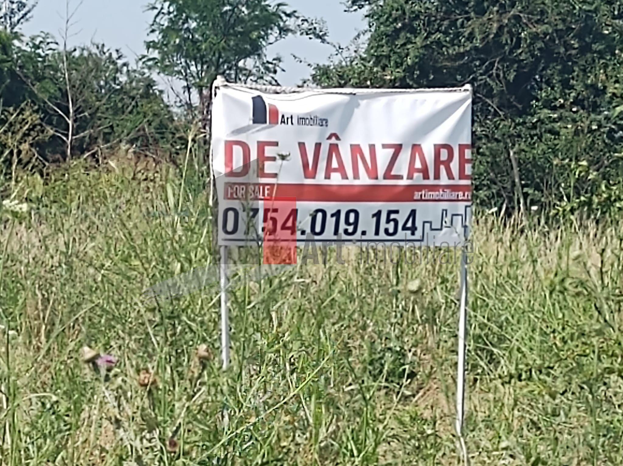 Vânzare 2 loturi de casă Dobreni Giurgiu - 3