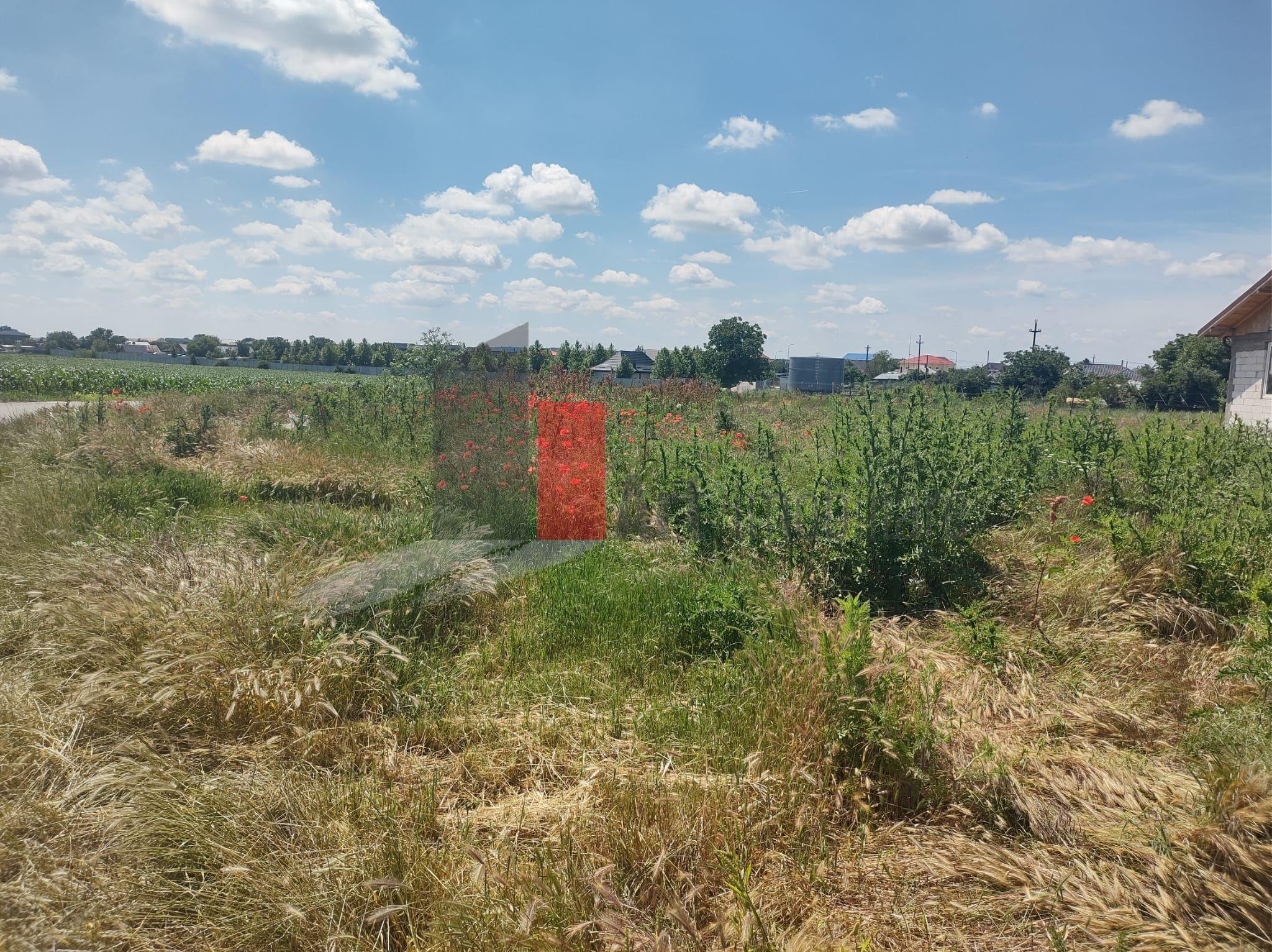 Vânzare 2 loturi de casă Dobreni Giurgiu - 4