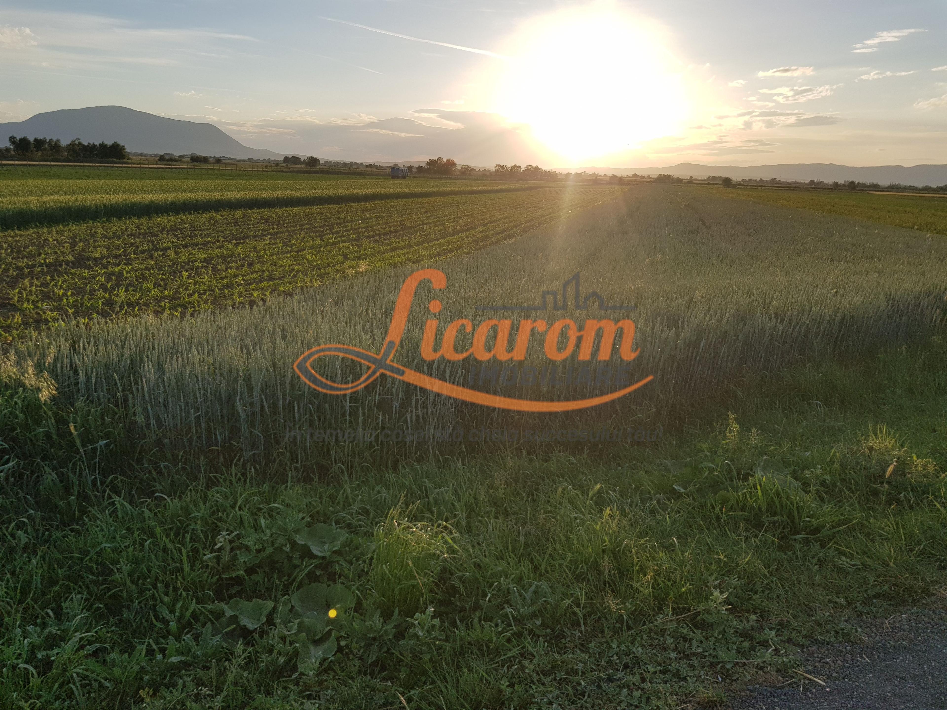 Teren intravilan Stupini front la Calea Feldioarei, DN 13 - 4