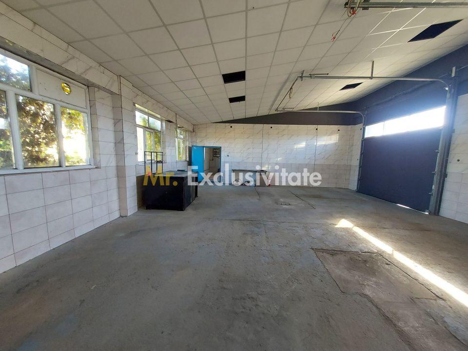 De închiriat: Hale si locuință pe 3 000 mp/ Bascov - Argeș - 8