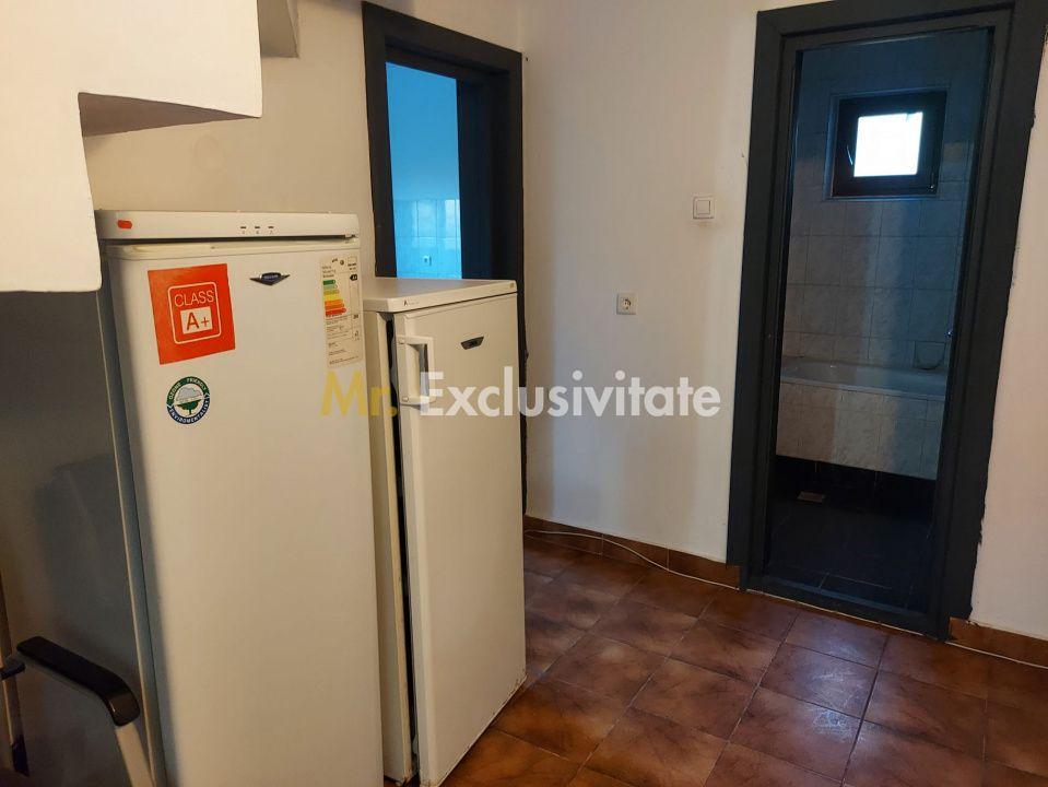 De închiriat: Hale si locuință pe 3 000 mp/ Bascov - Argeș - 16