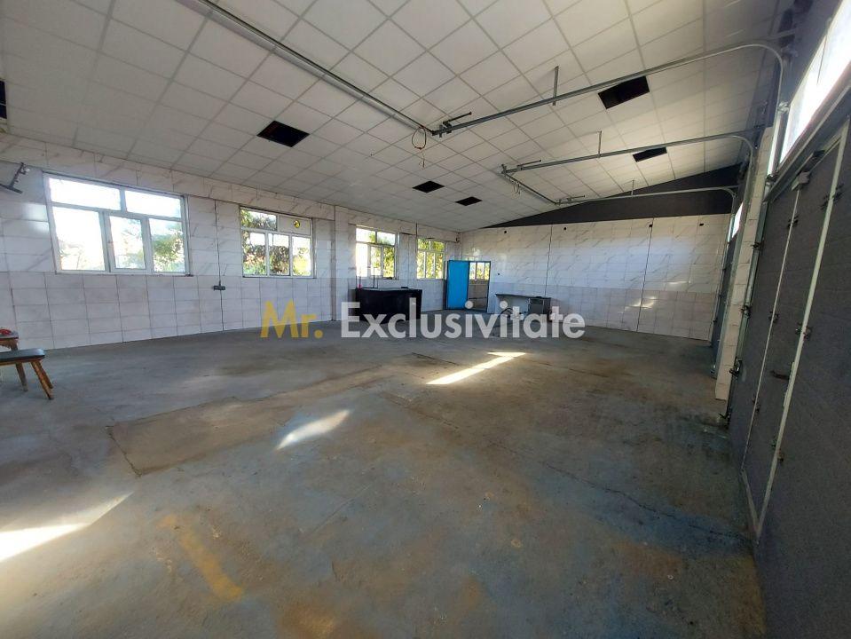 De închiriat: Hale si locuință pe 3 000 mp/ Bascov - Argeș - 12