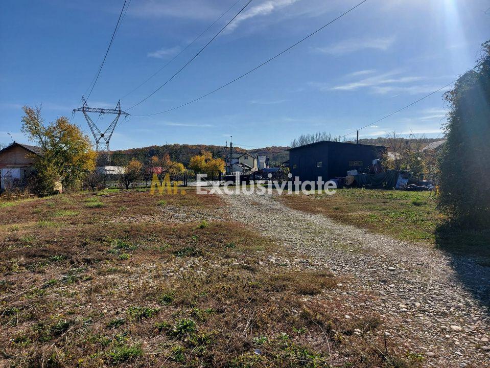 De închiriat: Hale si locuință pe 3 000 mp/ Bascov - Argeș - 10