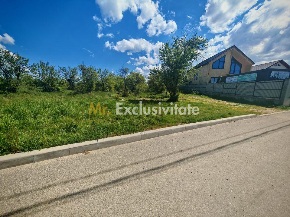 Teren intravilan 2.000 mp in Mioveni – Ideal pentru casa sau investitie! - 5