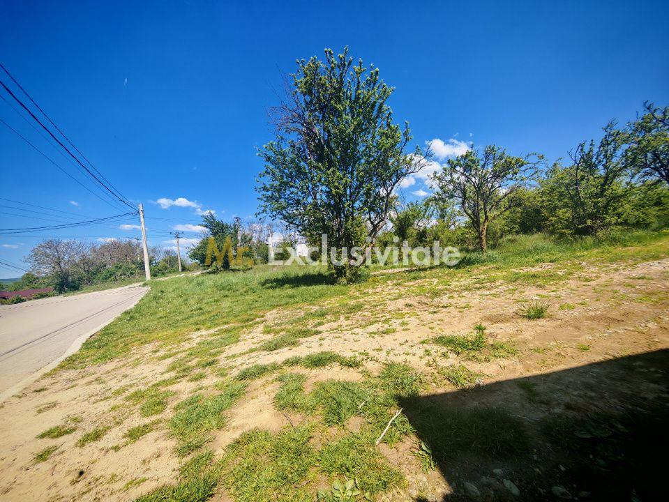 Teren intravilan 2.000 mp in Mioveni – Ideal pentru casa sau investitie! - 3
