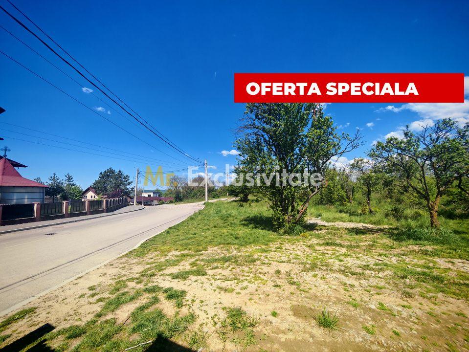 Teren intravilan 2.000 mp in Mioveni – Ideal pentru casa sau investitie! - 1