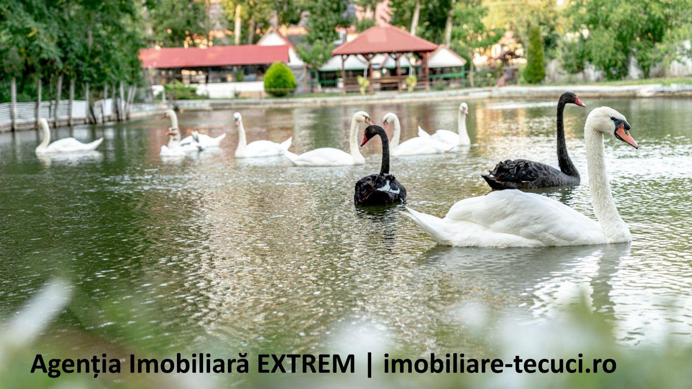 Pensiune, restaurant, bar, iaz, păstrăvărie, în Gidigeni, jud. Galaţi - 12