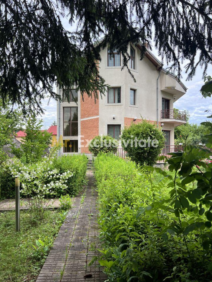 Acasă la Bascov- Județ Arges cu peisaj de poveste - 10