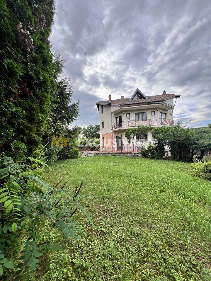 Acasă la Bascov- Județ Arges cu peisaj de poveste - 23