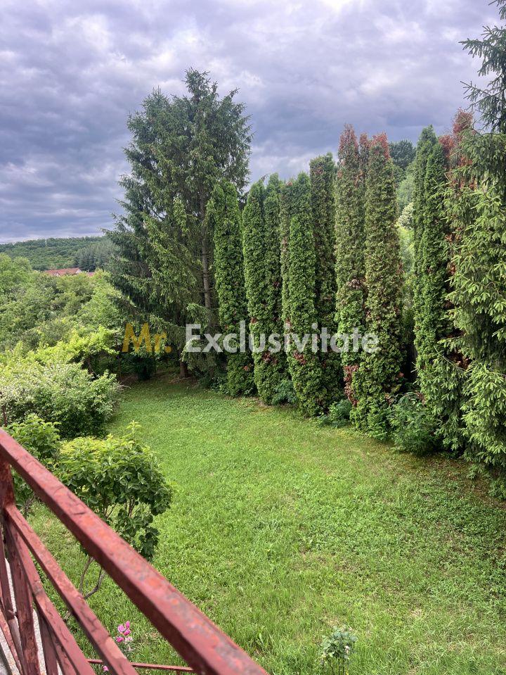 De Vanzare SAU inchiriat Casă BASCOV - Județ Arges la 5 min de Pitesti - 6