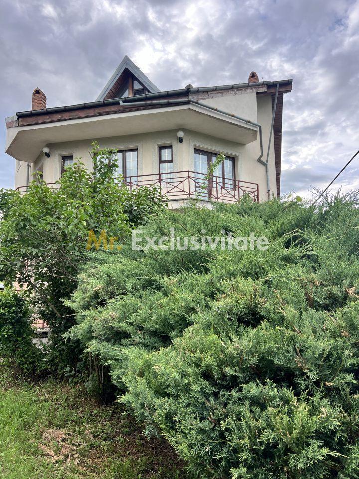 Acasă la Bascov- Județ Arges cu peisaj de poveste - 27