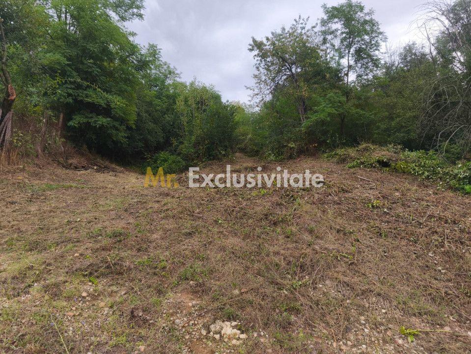 Teren 2552 mp, panorama superba Mosoaia Hintesti -Strada Basangesti - 2