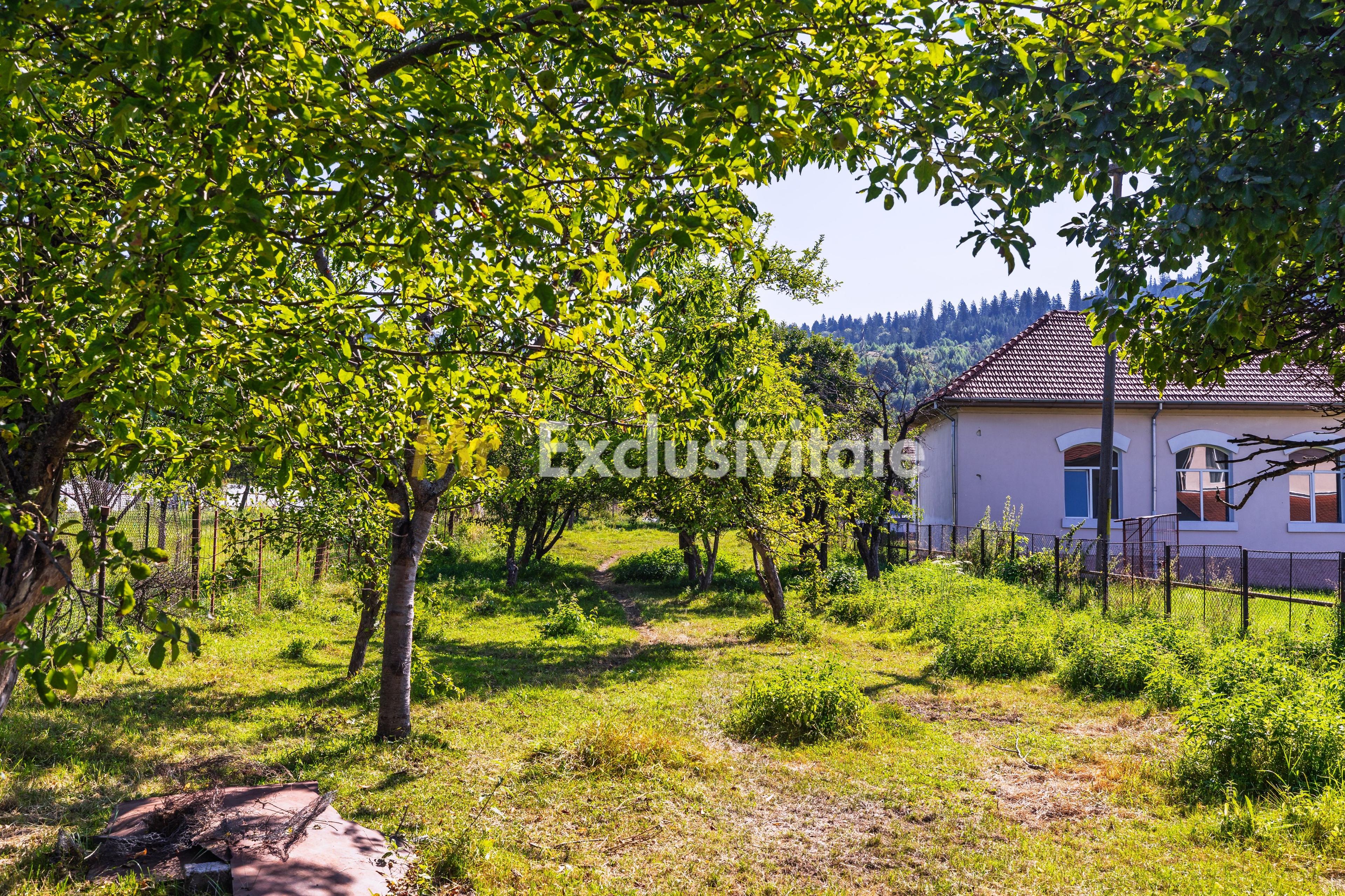 Teren cu potential exceptional 1941 mp– Centru Leresti | Campulung - 4