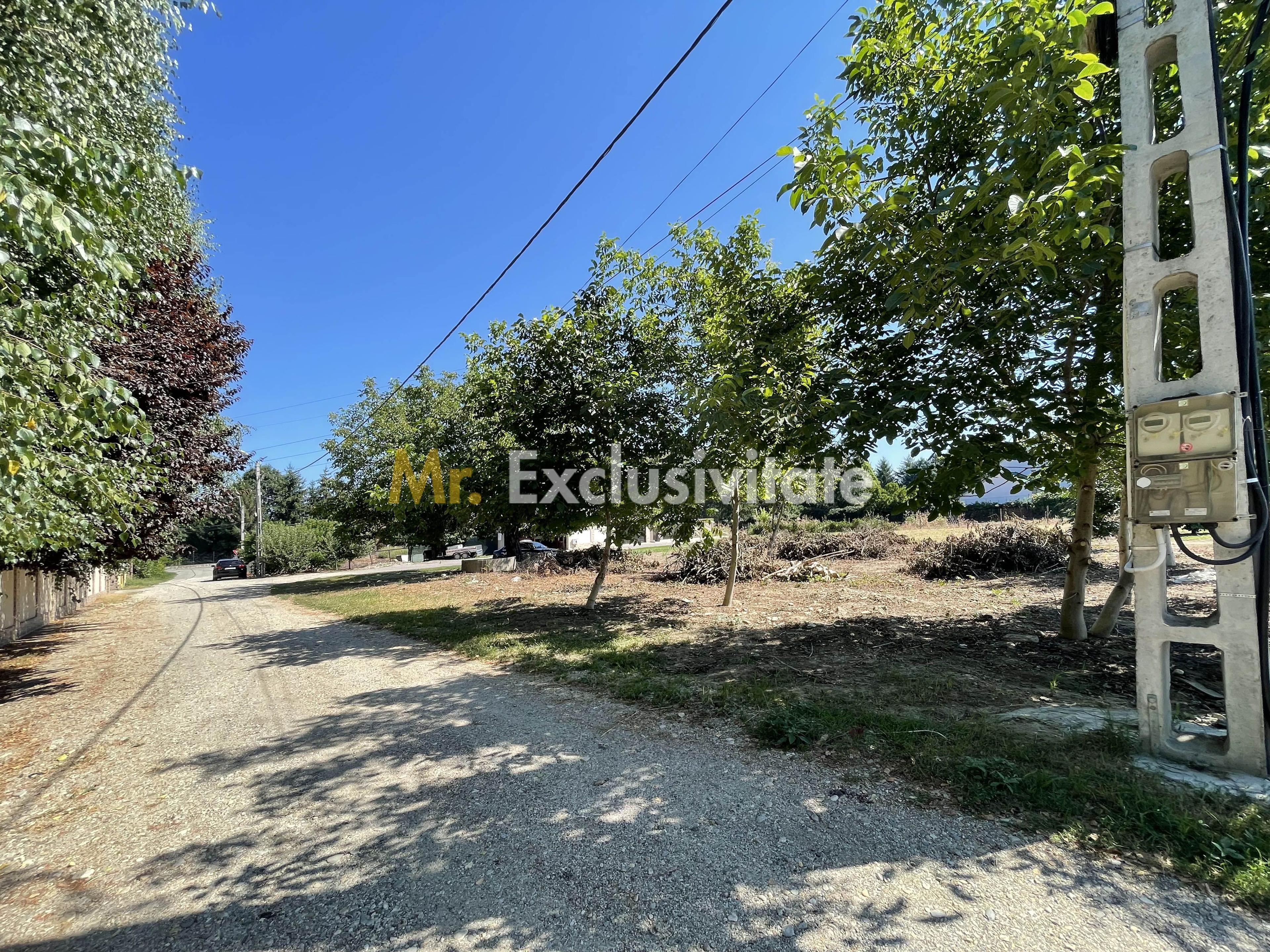 Teren 1.487 mp, doua deschideri la drum, Stefanestii Noi – Zavoi - 4