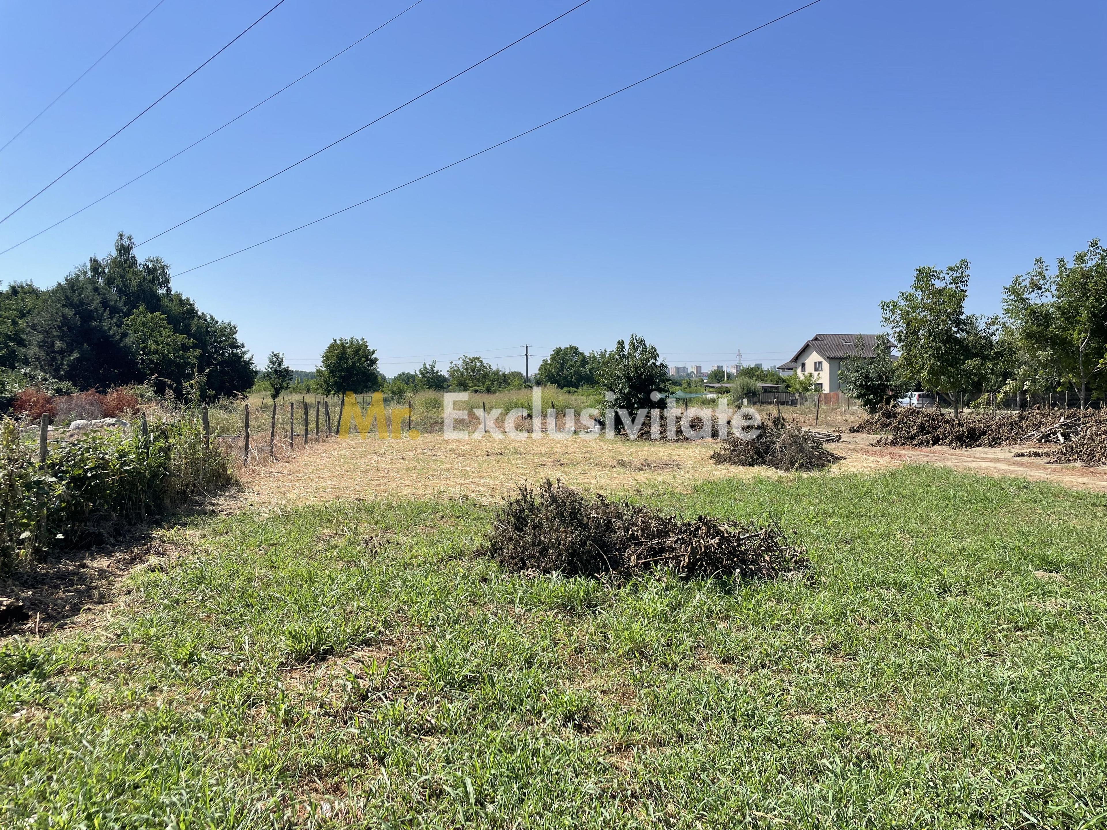 Teren 1.487 mp, doua deschideri la drum, Stefanestii Noi – Zavoi - 8