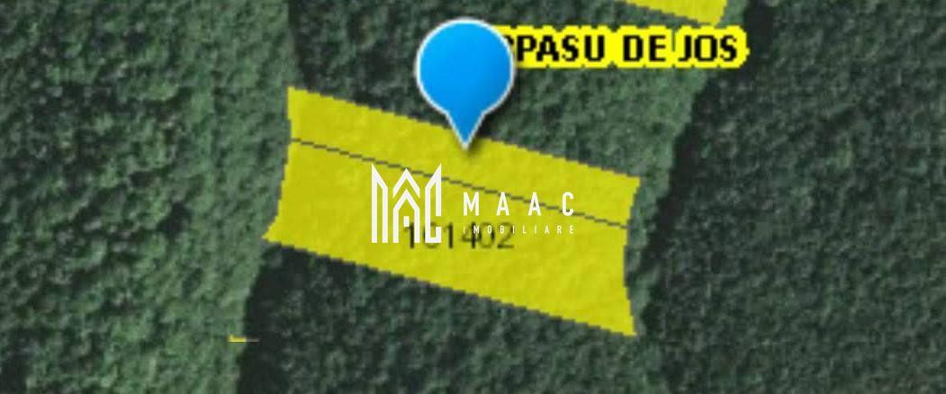 Teren extravilan de vânzare | Arpașu de Sus | 3100 mp - 5