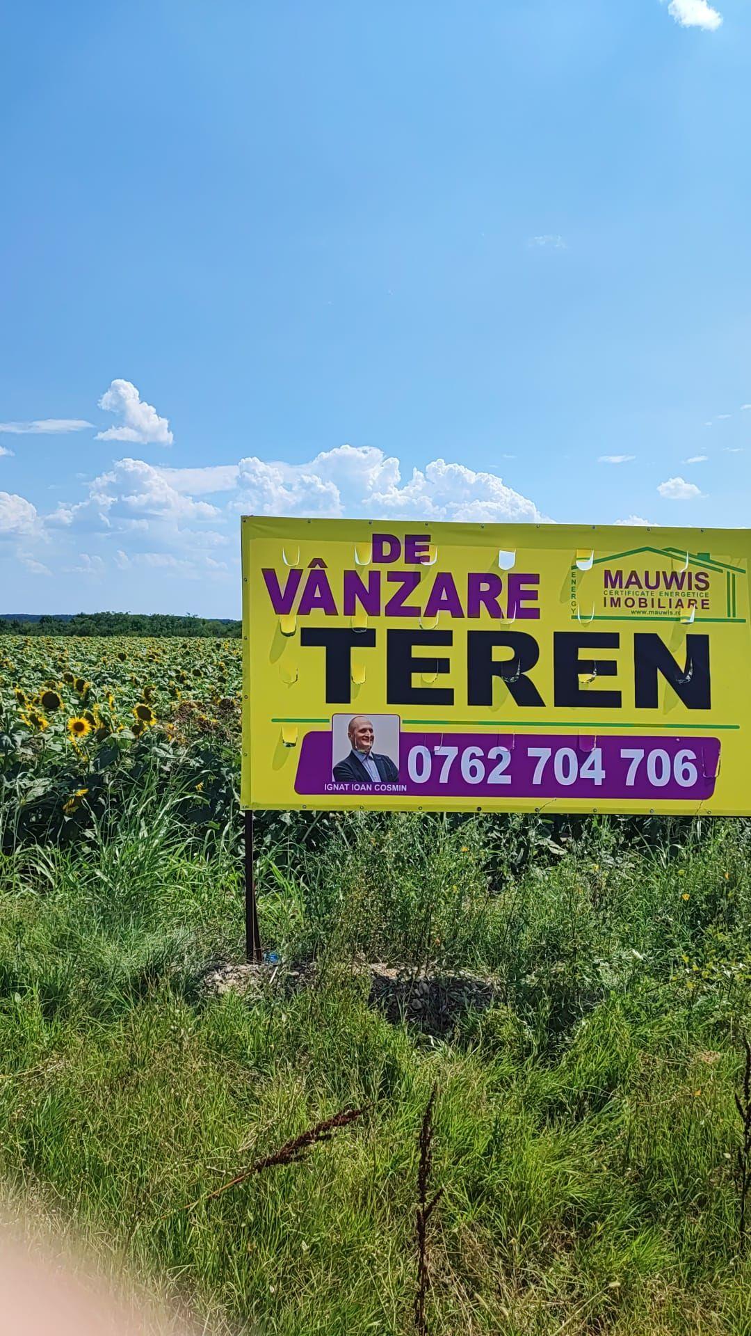 Vand teren intravilan cu destinatie hale - Ganeasa - Sindrilita - 1