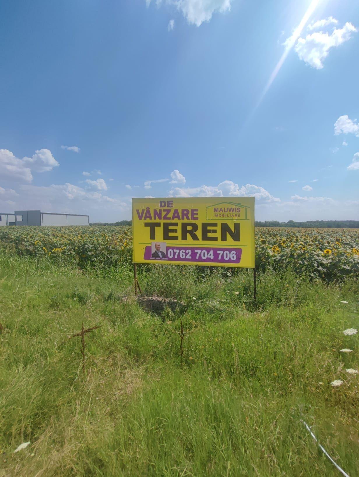 Vand teren intravilan cu destinatie hale - Ganeasa - Sindrilita - 12