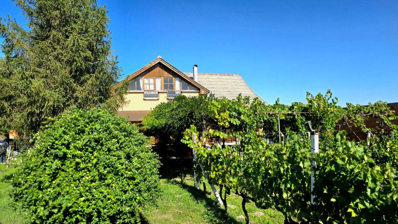 casa 3 camere Viile Satu Mare - 12