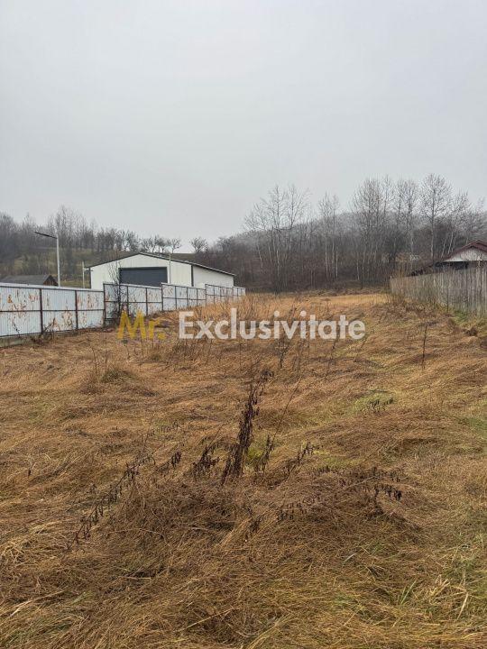 Teren 1758 mp DN7 - Prislopu Mare, Draganu! - 2