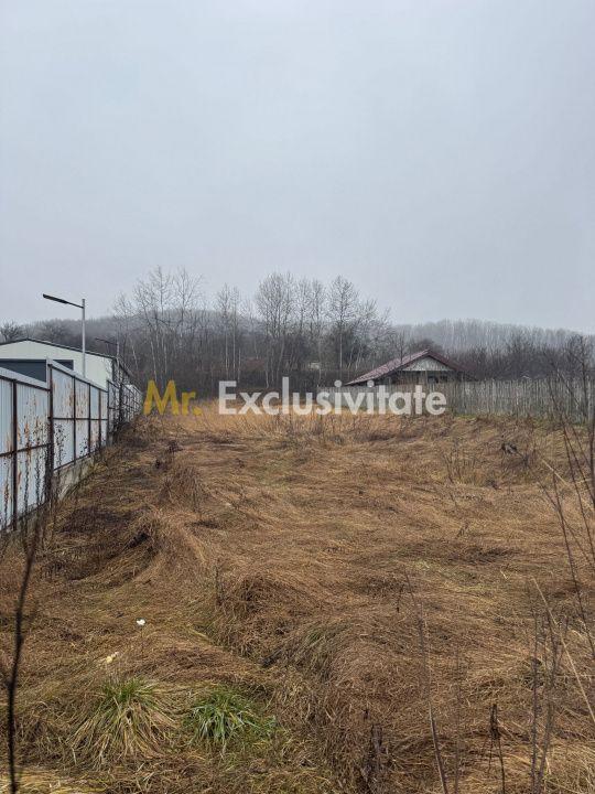 Teren 1758 mp DN7 - Prislopu Mare, Draganu! - 3