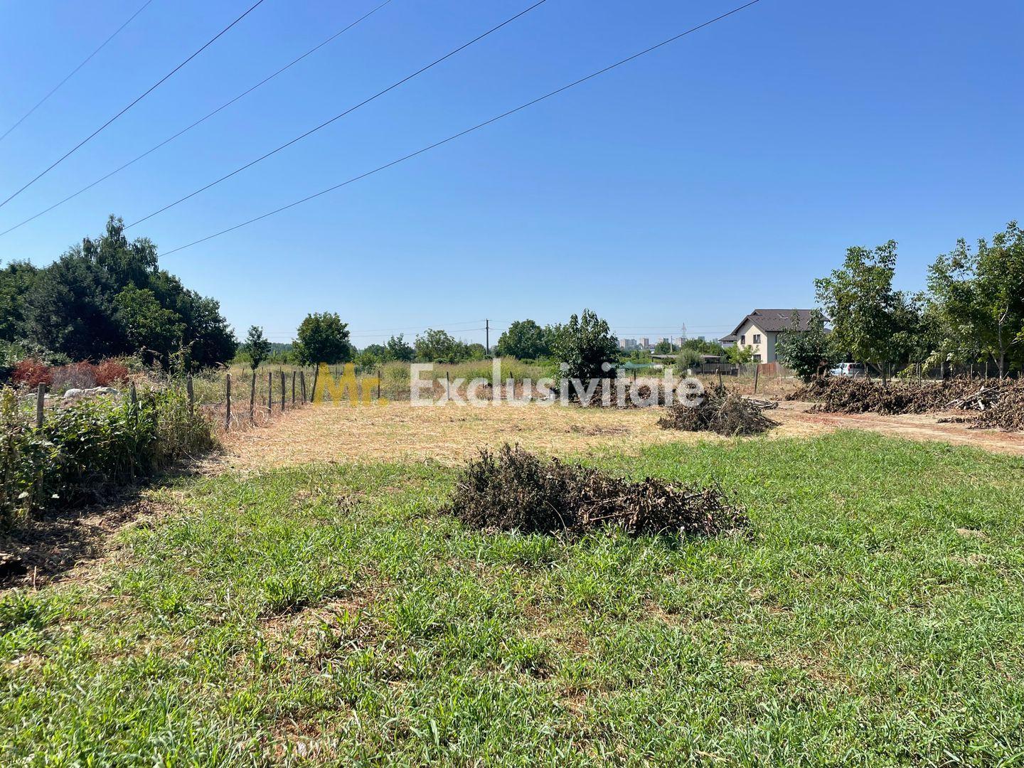Teren intravilan | 2 deschideri | Ștefăneștii Noi – Str. Primăverii - 8