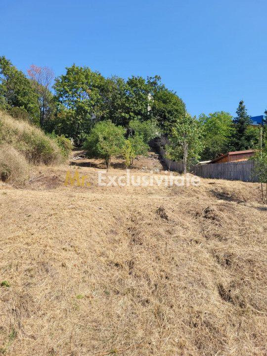 Teren intravilan Turcesti (Pitesti) - 1083 mp, demisol executat - 2