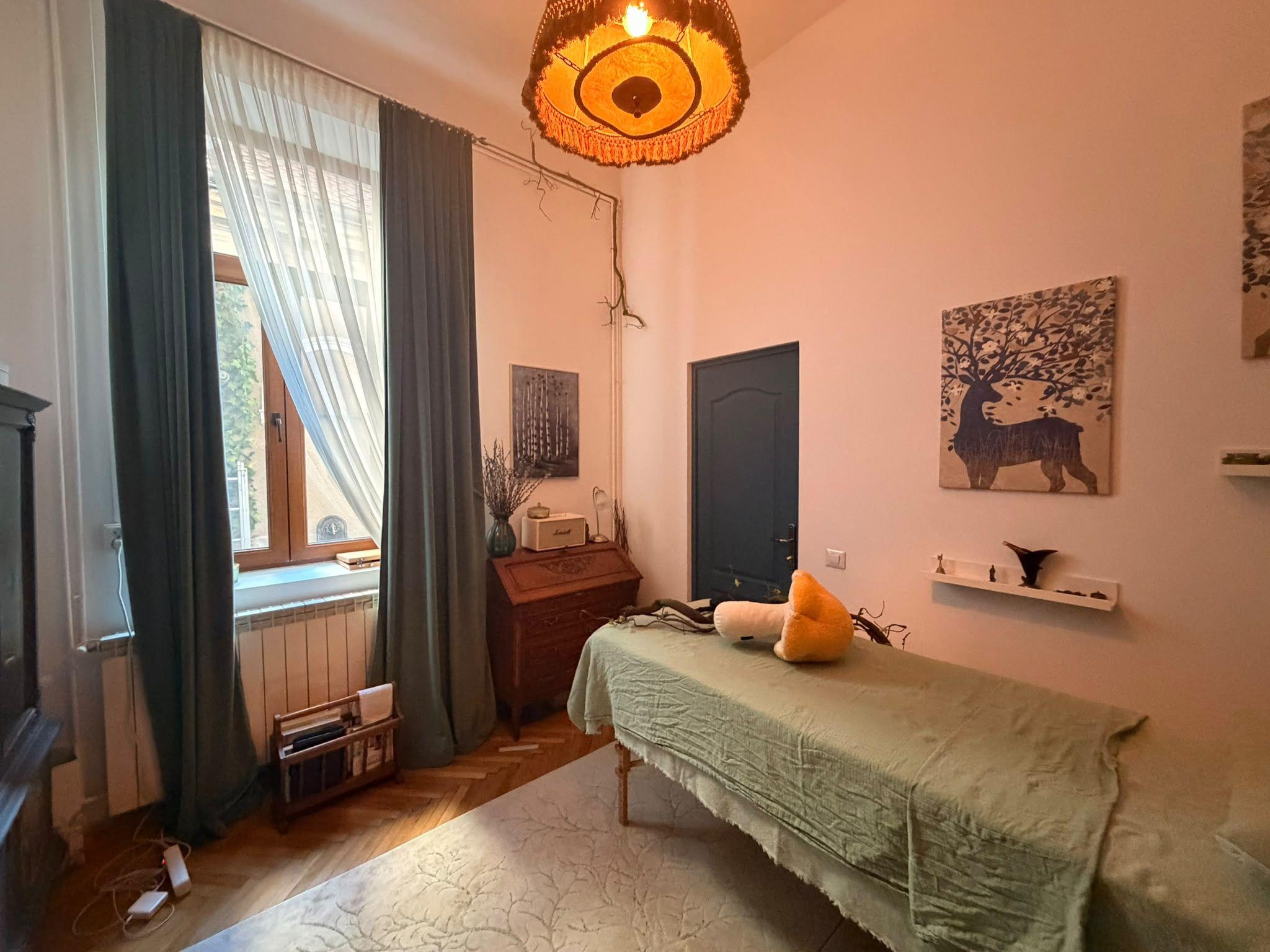 Apartament 5 camere in vila - Zona Armeneasca - 5