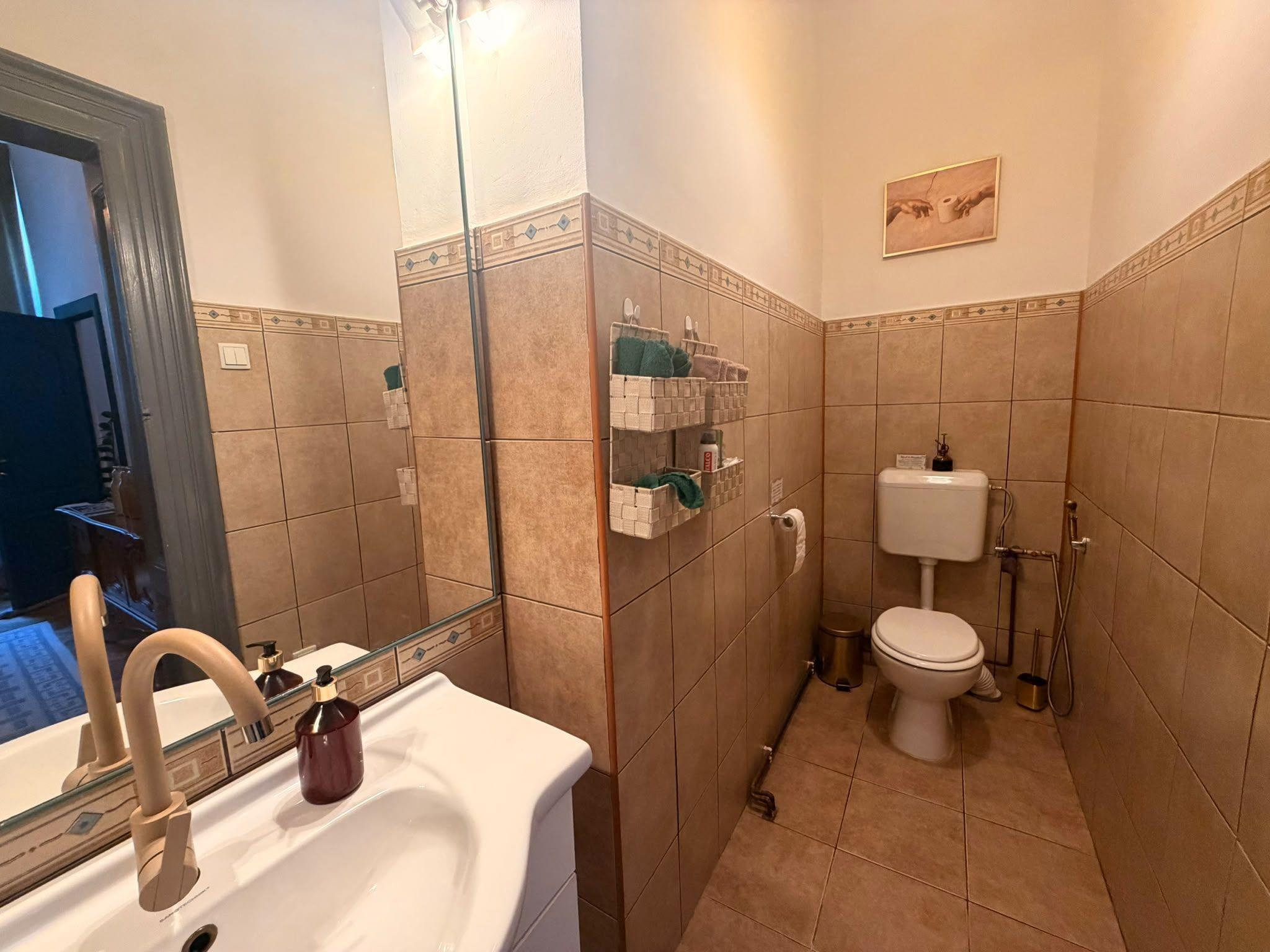 Apartament 5 camere in vila - Zona Armeneasca - 14