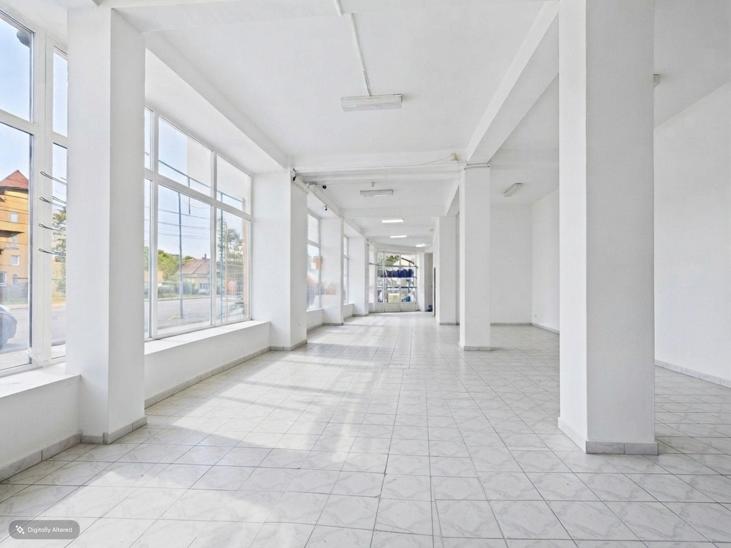 Spațiu comercial 265 mp | Ștefan cel Mare - 9