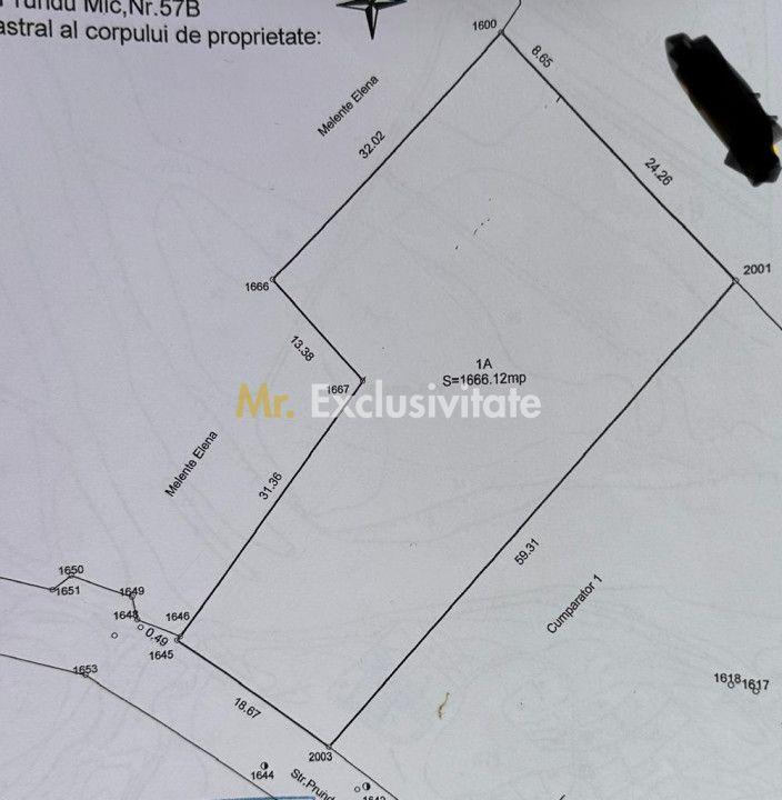 Teren intravilan Prundu - oportunitate excelentă de investiție! - 2