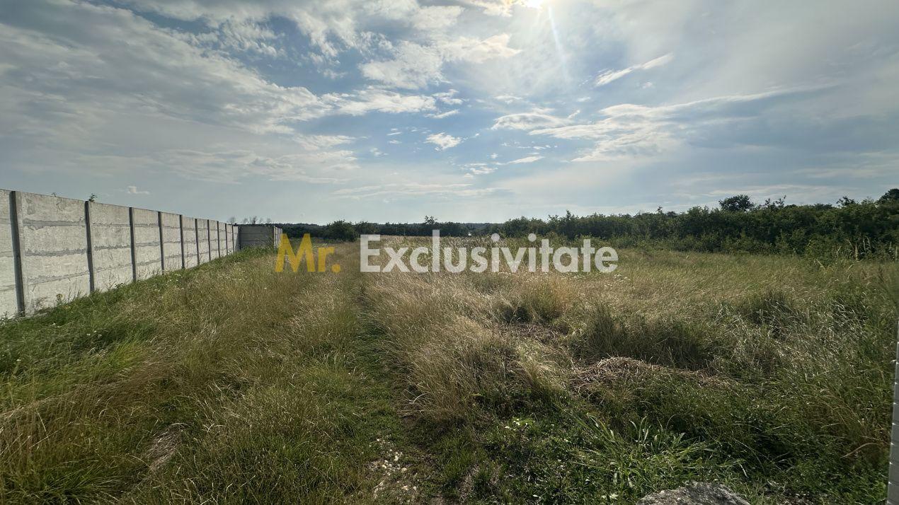 Teren intravilan 530 Mp | Albota - 2