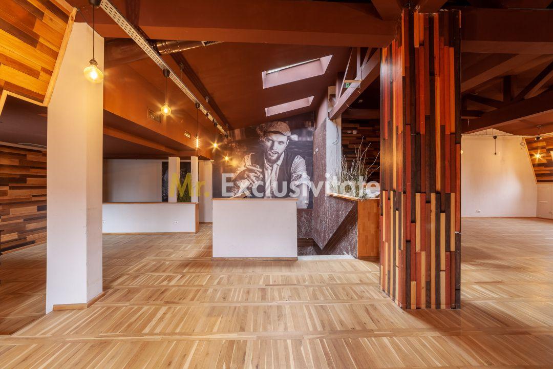 Spatiu comercial premium in vila – Bd. Republicii, Pitesti - 13