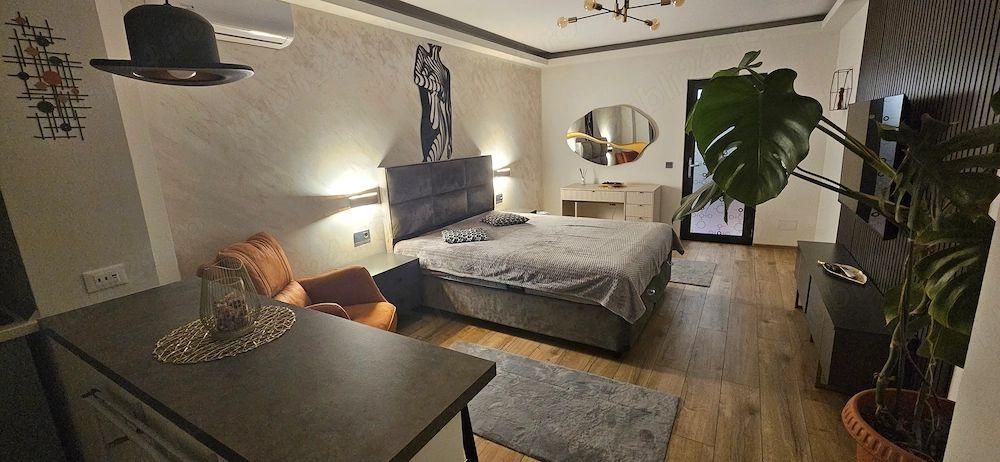 De inchiriat apartament 1 camera Ultimul Leu, etaj 5/7, 400 euro - 1