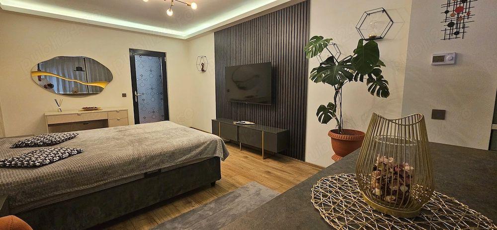 De inchiriat apartament 1 camera Ultimul Leu, etaj 5/7, 400 euro - 13