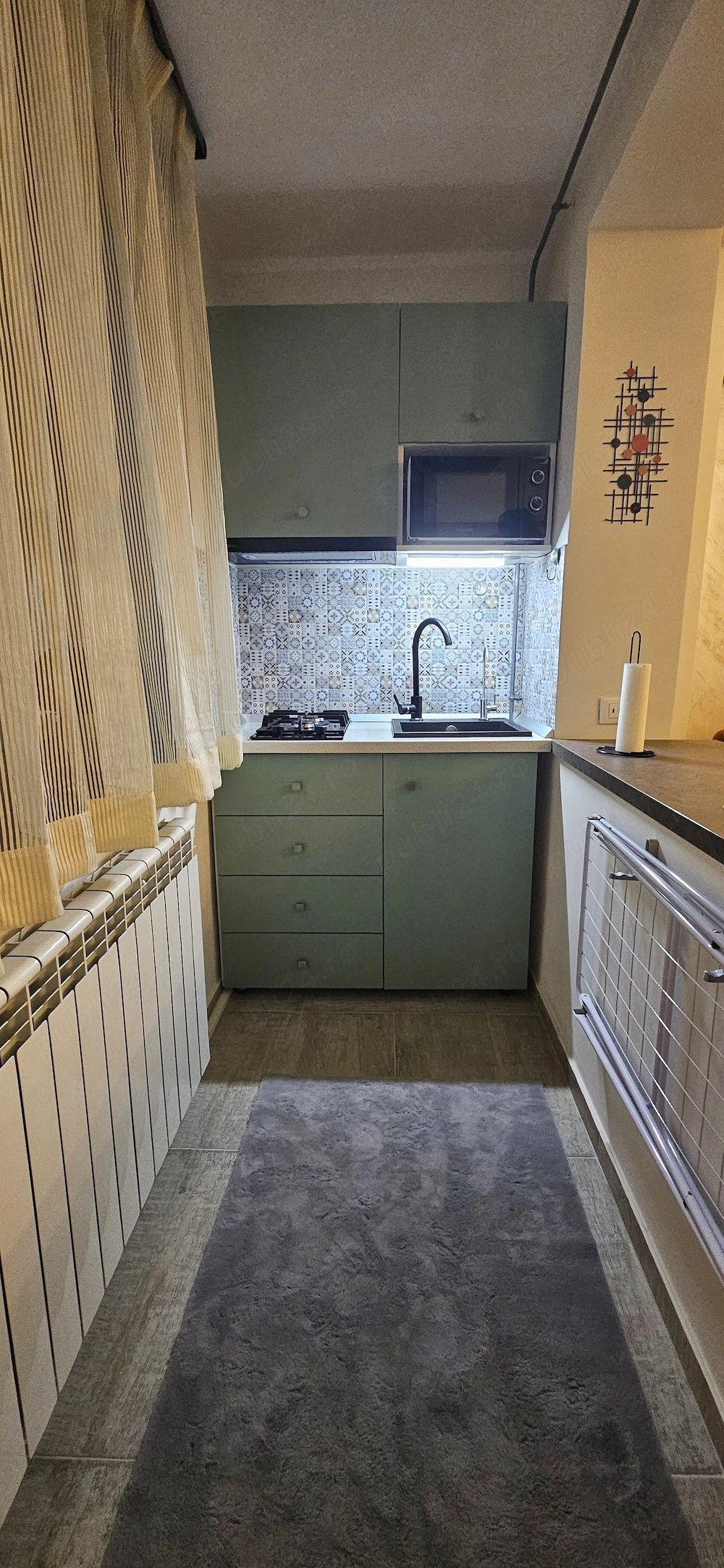 De inchiriat apartament 1 camera Ultimul Leu, etaj 5/7, 400 euro - 6