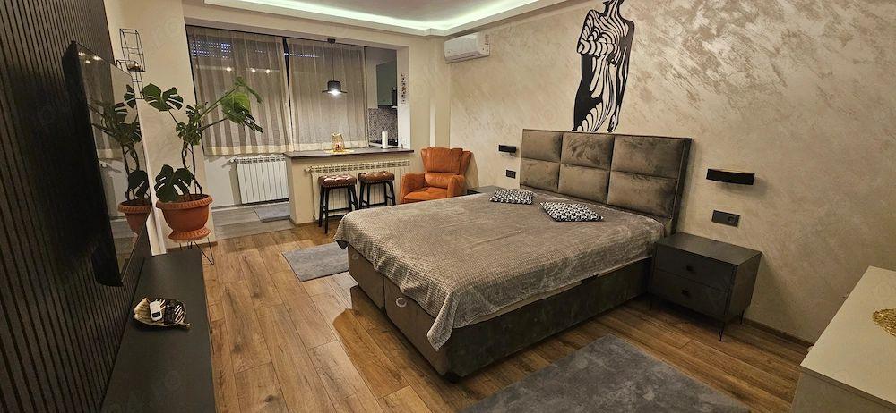 De inchiriat apartament 1 camera Ultimul Leu, etaj 5/7, 400 euro - 9