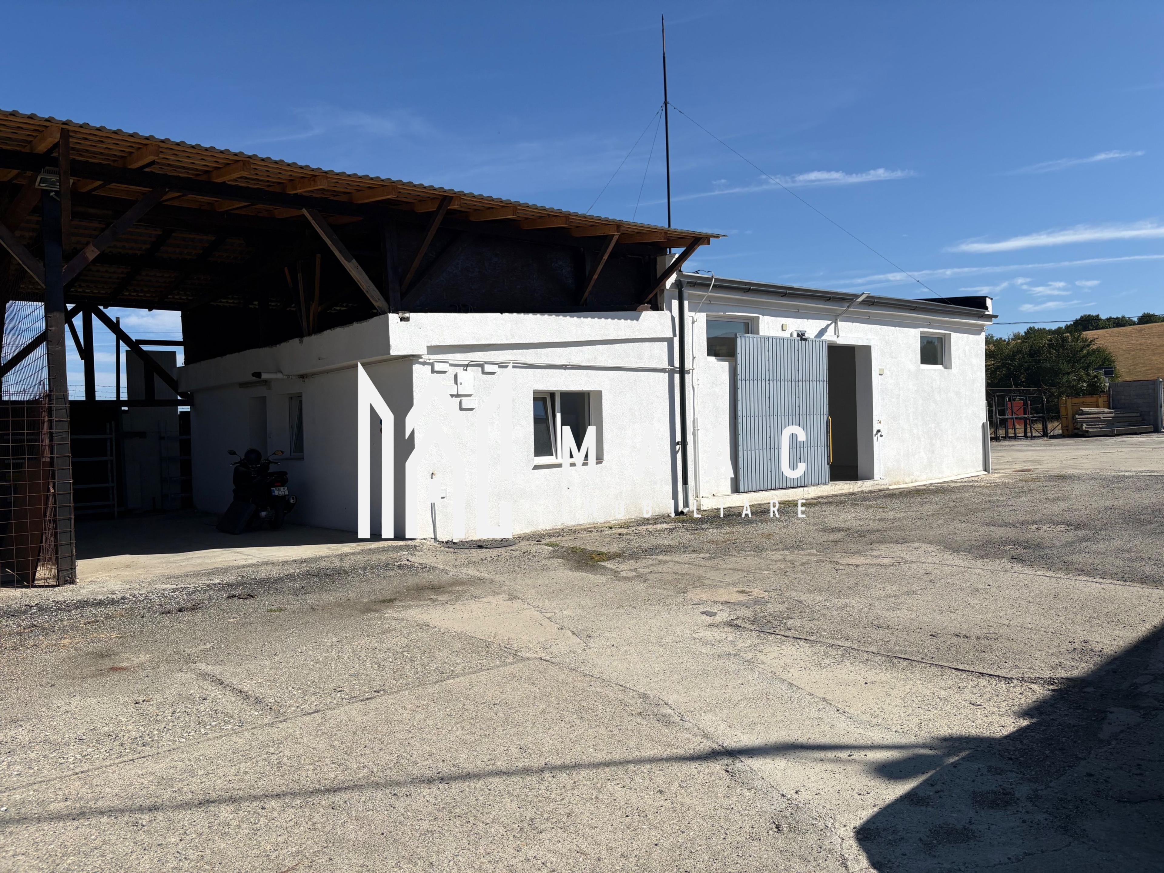 Spațiu comercial I industrial I Cisnadioara - 1