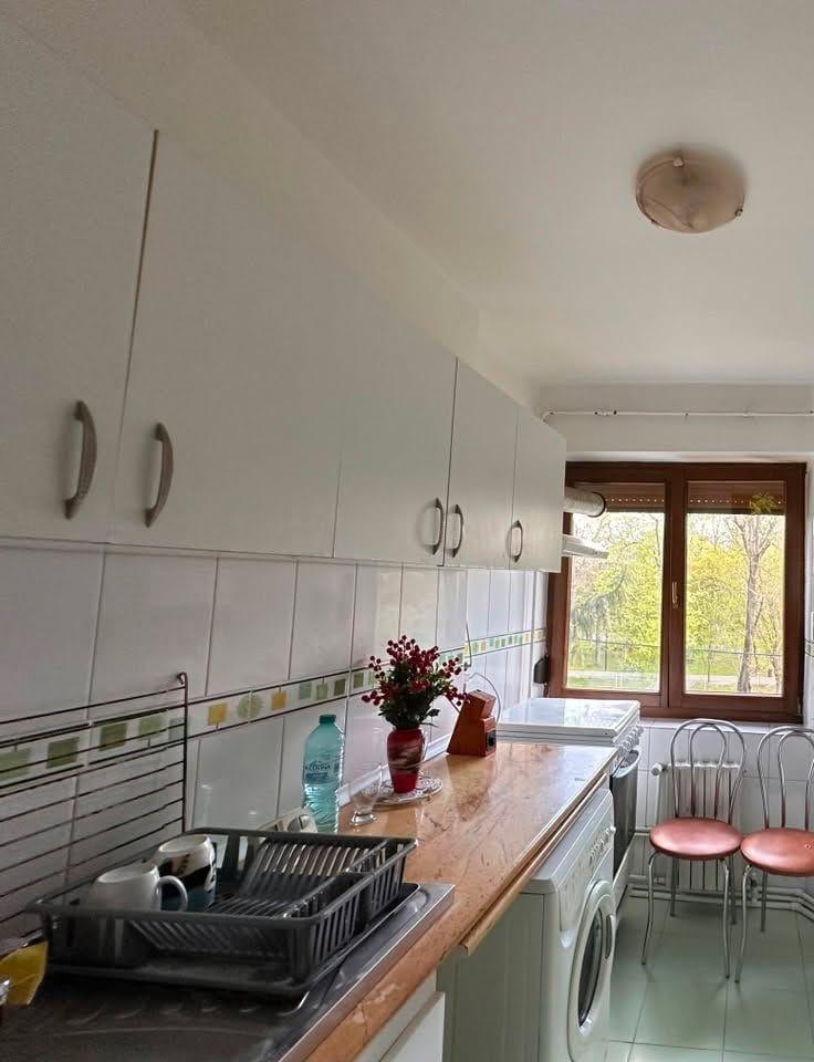 De inchiriat apartament cu 2 camere, etaj 2, Gradina Publica, 400 euro - 7