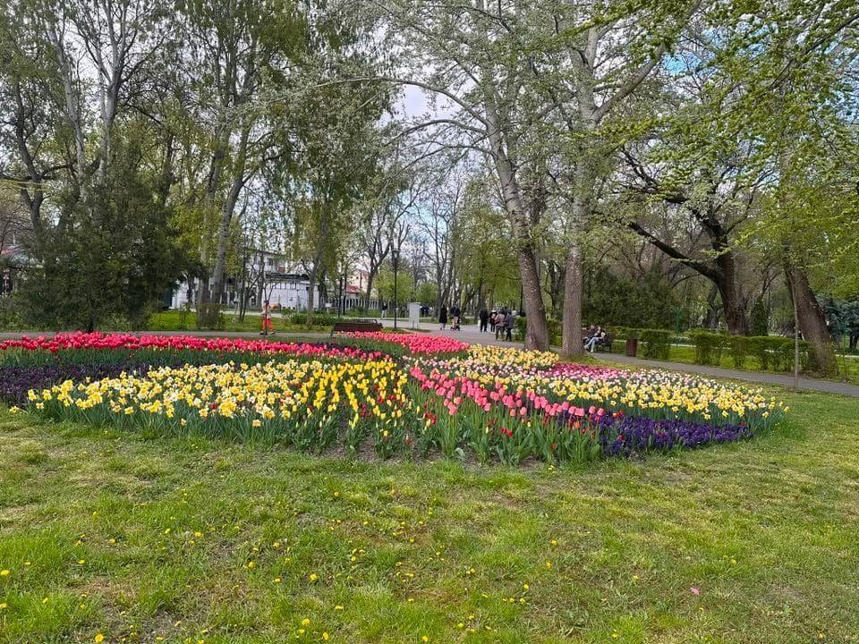 De inchiriat apartament cu 2 camere, etaj 2, Gradina Publica, 400 euro - 1