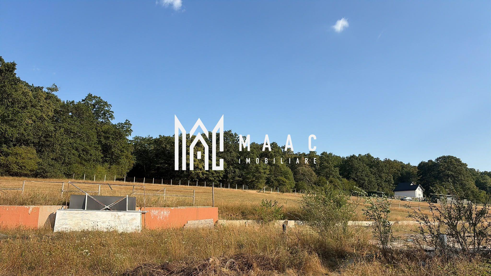 Teren intravilan de vânzare | Cisnădie | 1.316 mp | hală metalică - 7