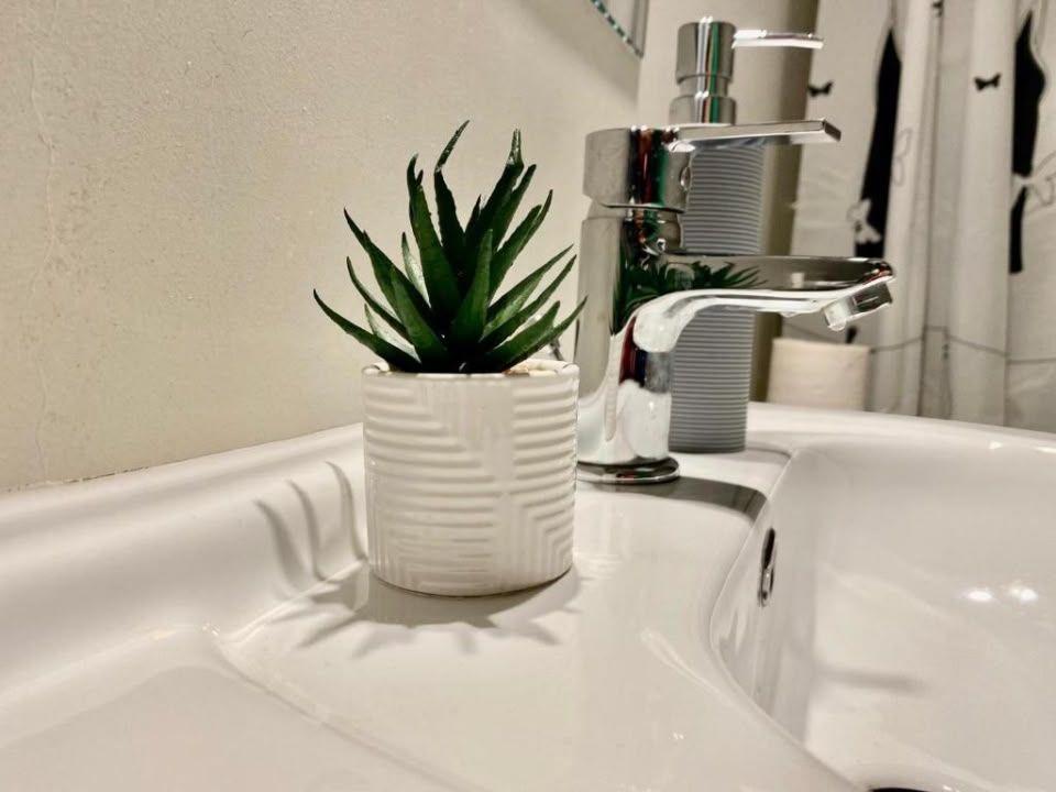 Oportunitate investitie, 9 Apartamente, Ultracentral - 16