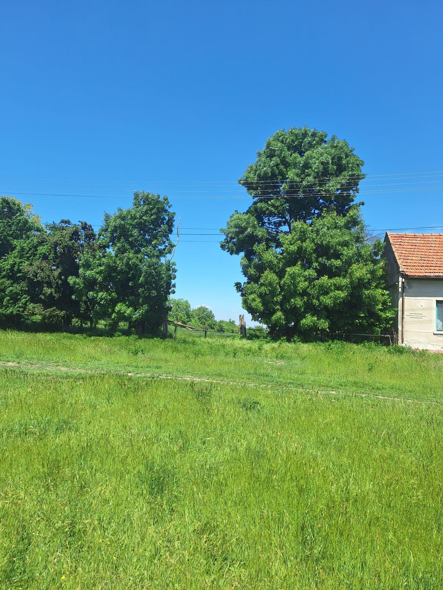 Teren vanzare-8000 m2-Cheveresu Mare -100 m front stradal - 4